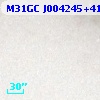 M31GC J004245+411903