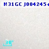 M31GC J004245+411331