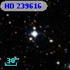HD 239616