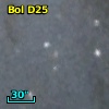 Bol D25