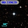 HD 239629