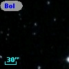 Bol D170