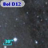 Bol D12