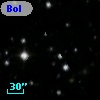 Bol D230
