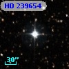 HD 239654