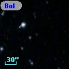 Bol D1