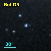 Bol D5