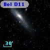 Bol D11