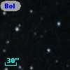 Bol D13