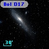Bol D17