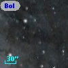 Bol D37