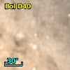 Bol D40