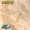 Bol D41