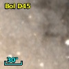 Bol D45