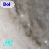 Bol D46
