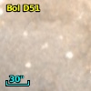 Bol D51
