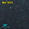 Bol D55