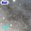 Bol D61
