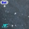 Bol D88