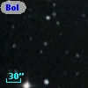 Bol D99