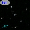 Bol D109