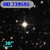 HD 239585