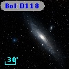 Bol D118