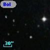 Bol D121