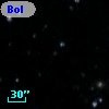 Bol D168