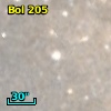 Bol 205