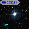 HD 202234