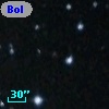 Bol 243