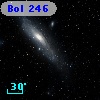 Bol 246