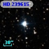 HD 239615