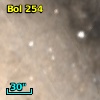 Bol 254