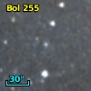 Bol 255