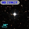 HD 239627