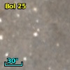 Bol  25
