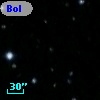 Bol D143