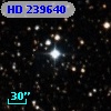 HD 239640