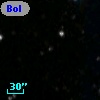 Bol 456