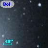 Bol 441