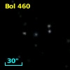 Bol 460