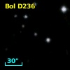 Bol D236