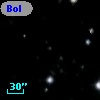 Bol D249