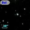 Bol D253