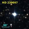 HD 239647