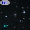 Bol D174