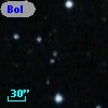 Bol D162