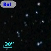 Bol D164